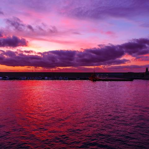 Stroll in just five minutes to the rocky coves of Cala Blanca or the Montanar II sea front