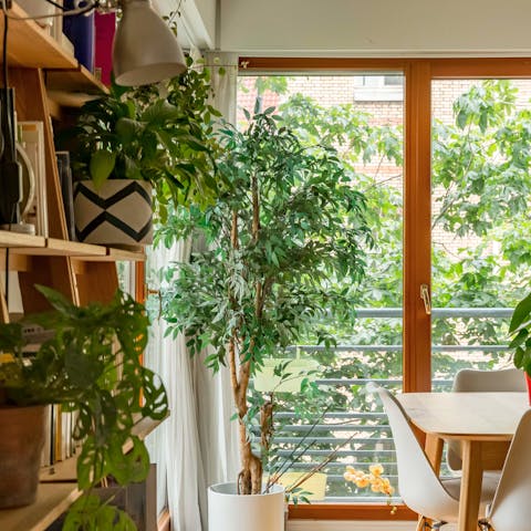 So much greenery at home
