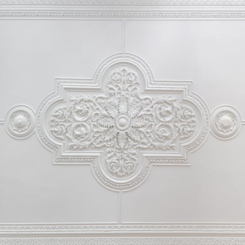 The intricate cornicing