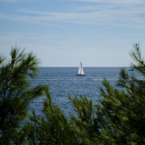 Experience the beauty of Croatia while exploring Istria