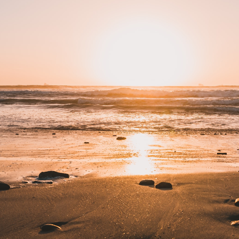 Spend the day at Clifton and Camps Bay, beaches, within a fifteen-minute drive