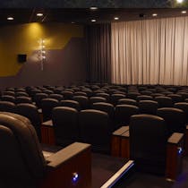 See a film at the Everyman Cinema