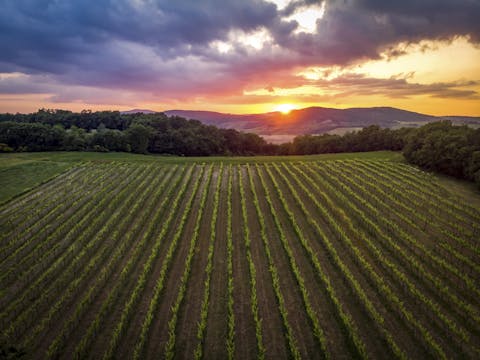 Explore the beautiful Tuscan countryside right on your doorstep