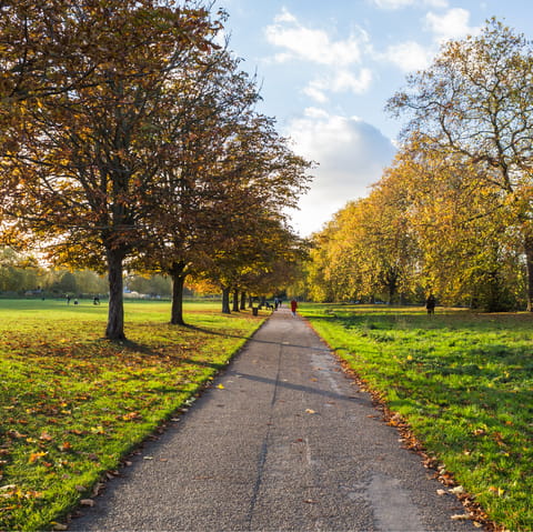 Notice the changing of the seasons in nearby Hyde Park