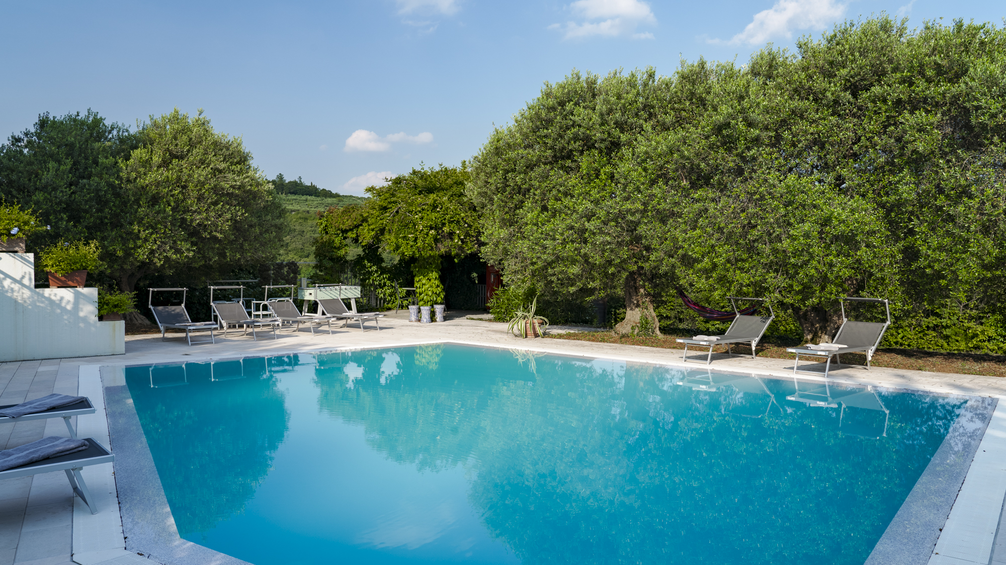 Elegant Olive Grove Retreat