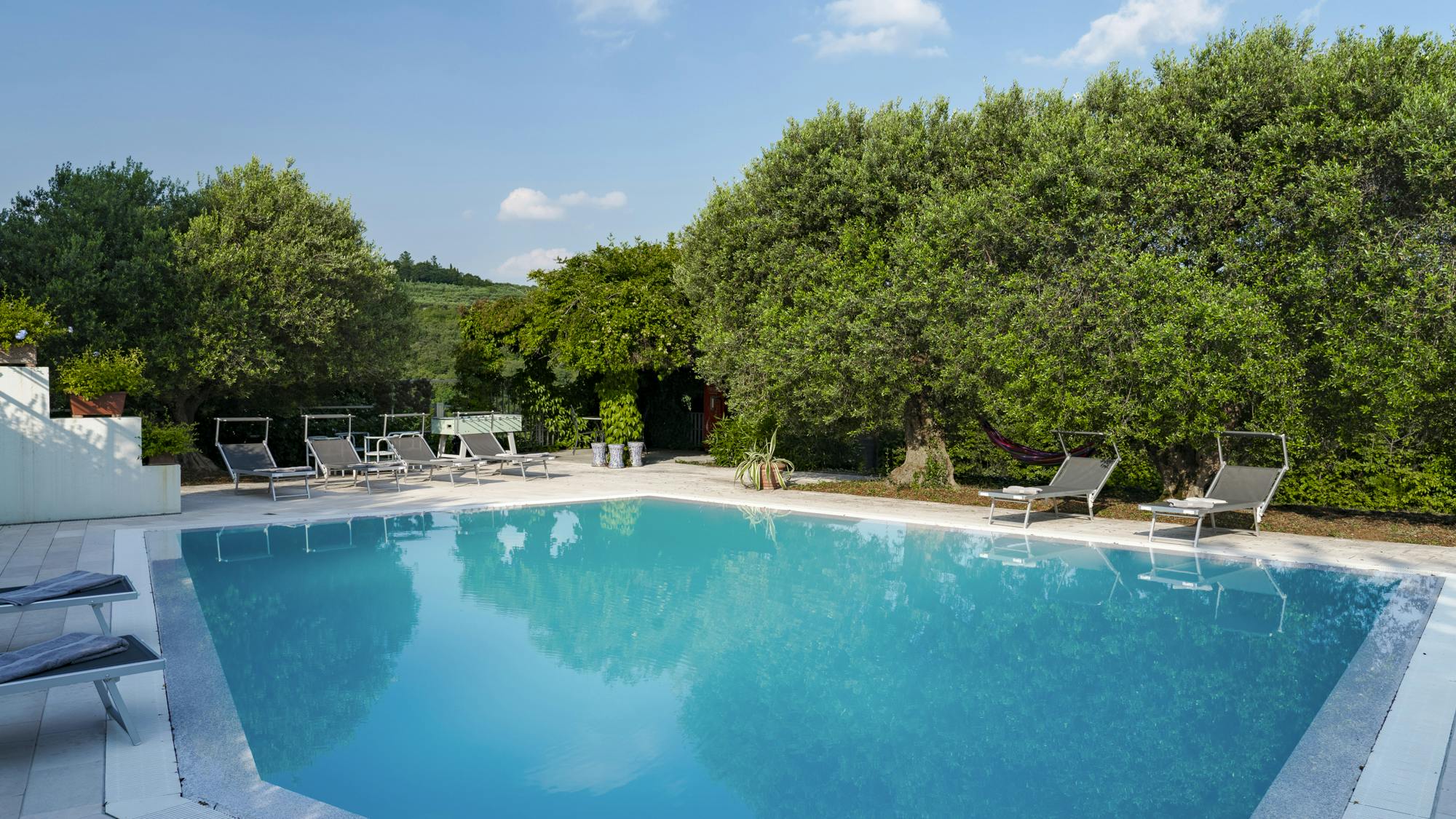 Elegant Olive Grove Retreat