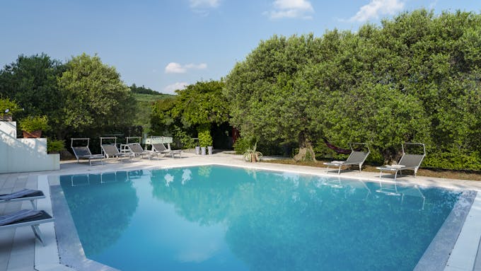 Elegant Olive Grove Retreat