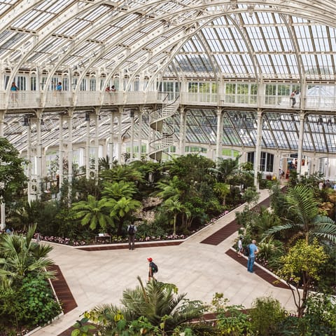 Find Kew Botanic Gardens just under half an hour's drive away