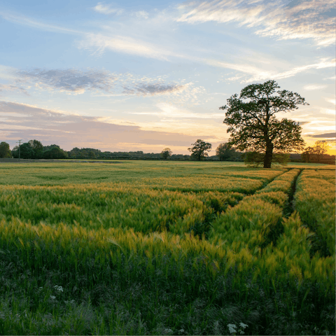 Put on your hiking boots and explore Oxfordshire