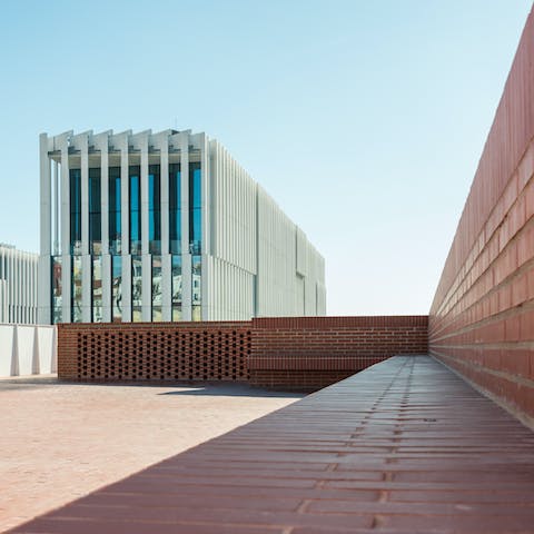 A sunny communal terrace