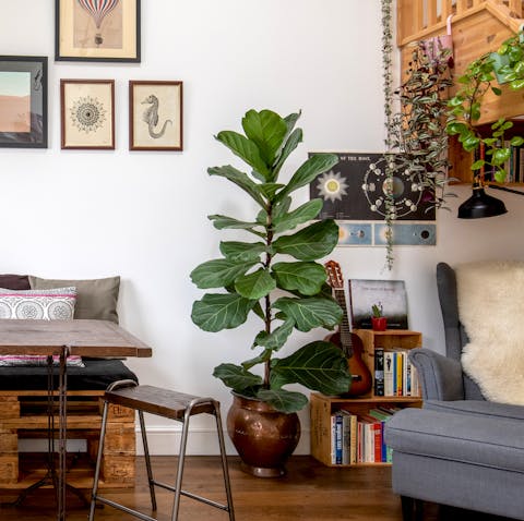 An abundance of plants