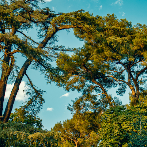 Be inspired by the natural beauty of El Retiro Park