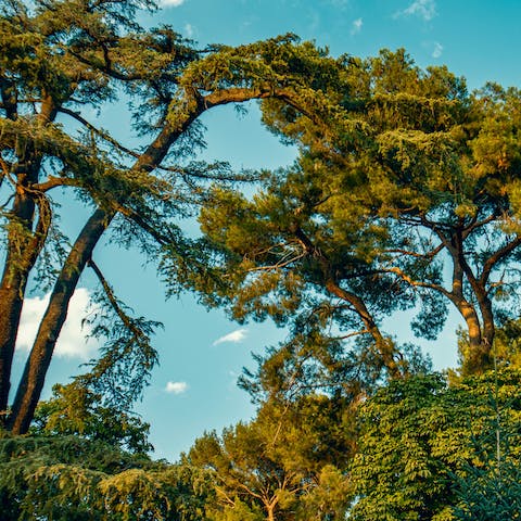 Be inspired by the natural beauty of El Retiro Park