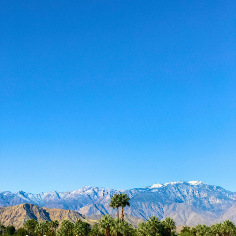 Enjoy endless sunshine in Palm Desert