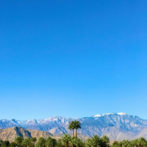 Enjoy endless sunshine in Palm Desert