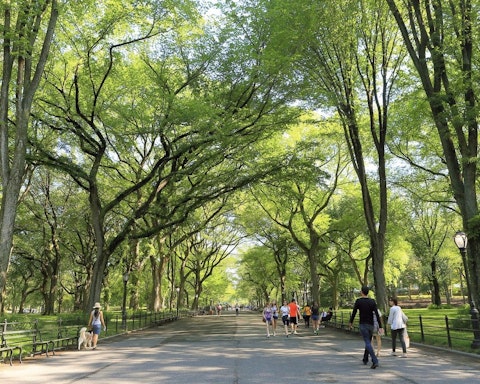The location near Central Park