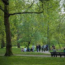 Enjoy a morning stroll through Green Park