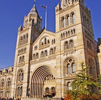 Discover dinosaurs at The Natural History Museum