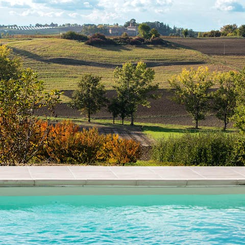 Take a swim in the salt water pool with a view over the rolling hills of Monferrato