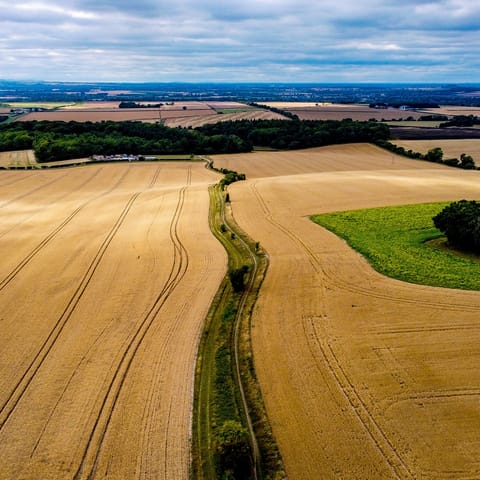 Discover the historic village of Islip, home to quaint thatched cottages, dense forests and ancient churches