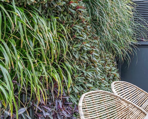 The decorative greenery