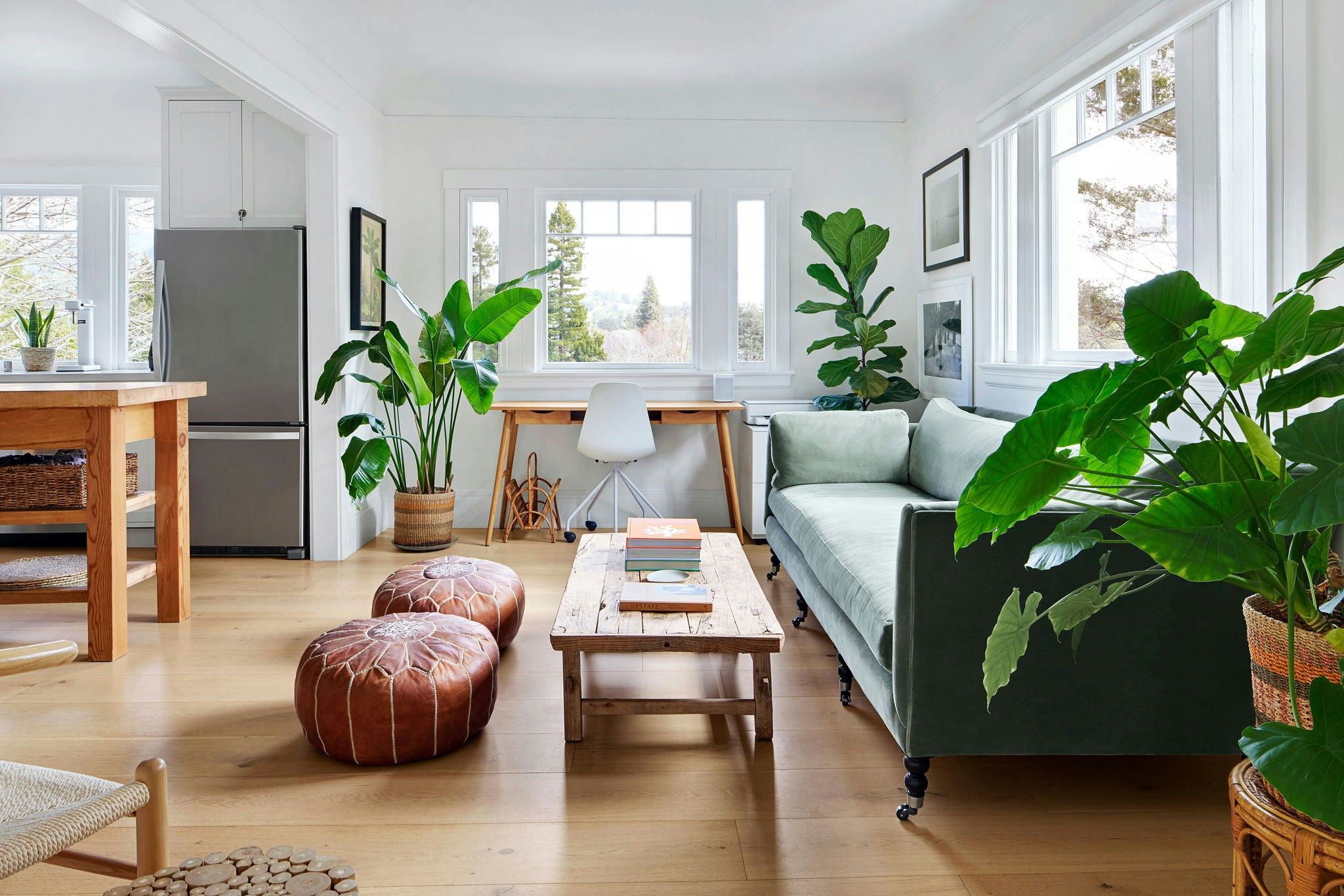 Mill Valley Marvel