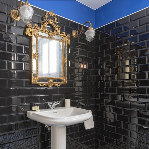 The sleek regal bathroom