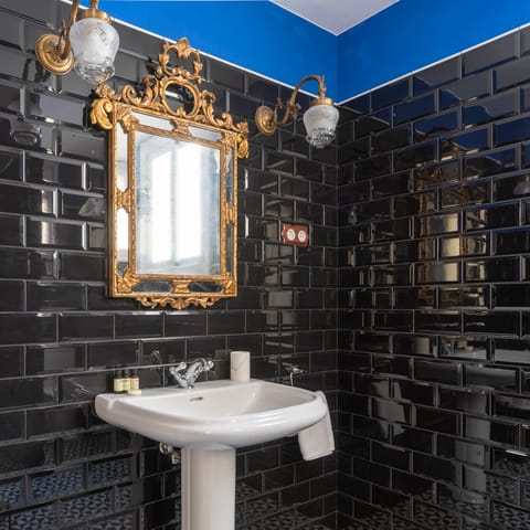 The sleek regal bathroom