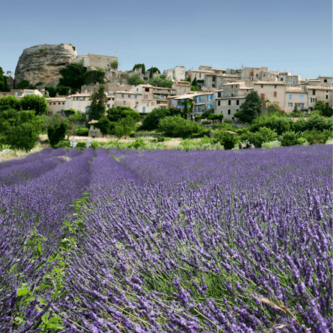 Sniff out your favourite perfume in Grasse, 4 kilometres from this home