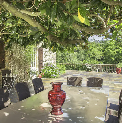 Dine under the impressive bay tree