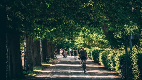 Choir Song, Østerbro, København | Plum Guide