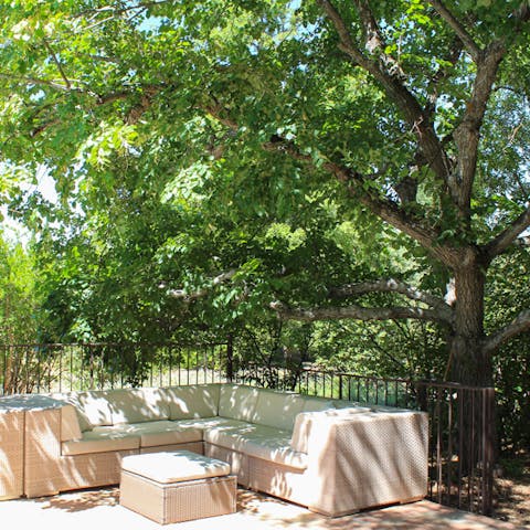Relax with French wine in the shade of speckled light from the trees