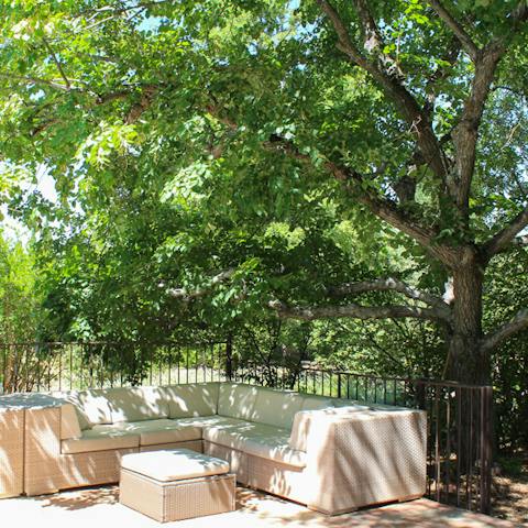 Relax with French wine in the shade of speckled light from the trees