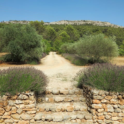Walk 15 minutes down lavender lined roads of Ste Victoire to the nearest village