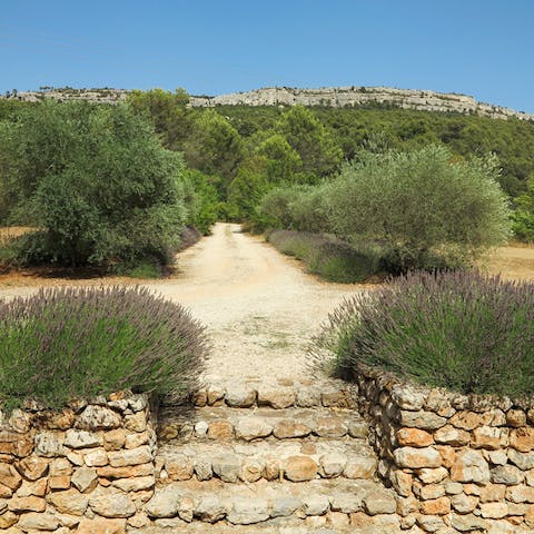 Walk 15 minutes down lavender lined roads of Ste Victoire to the nearest village