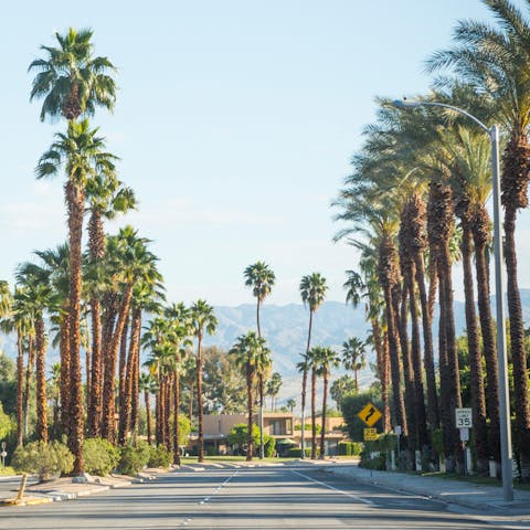 Wander around Palm Springs and feel like a movie star