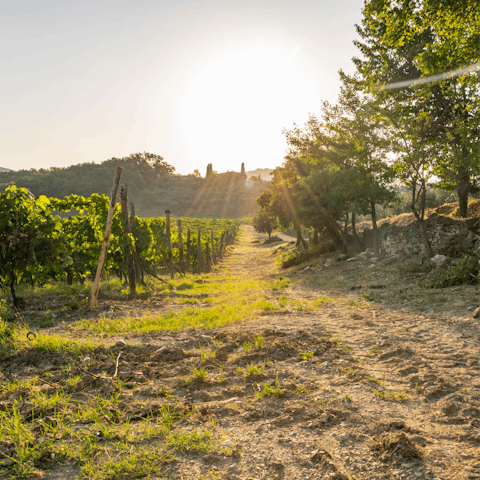 Explore the vineyards of Chianti from your base in pretty Pescina