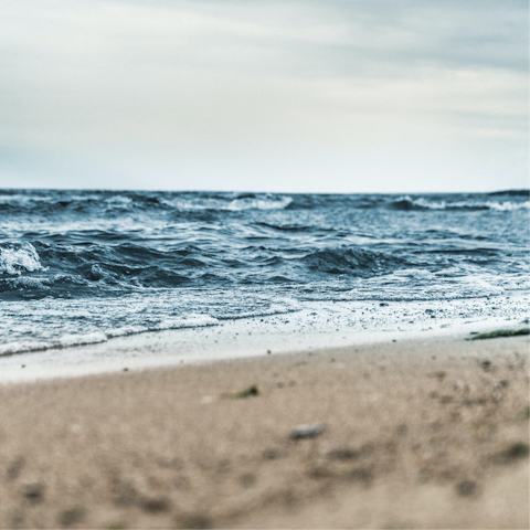 Enjoy a morning swim in the waters off Rochebonne Beach, a short walk away