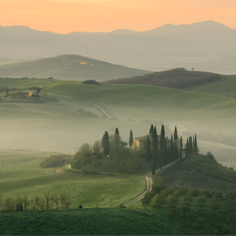 Stay in Tuscany surrounded by olive groves