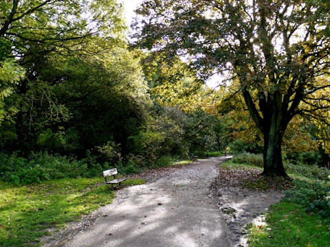 Wander Parkland Walk, a nature reserve along a disused railway line, ten minutes away