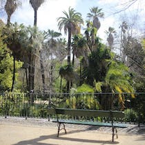 Visit the Botanical Garden