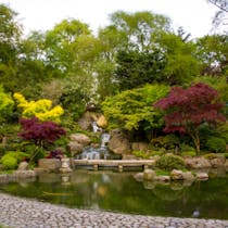 Have a moment of Zen in Holland Park
