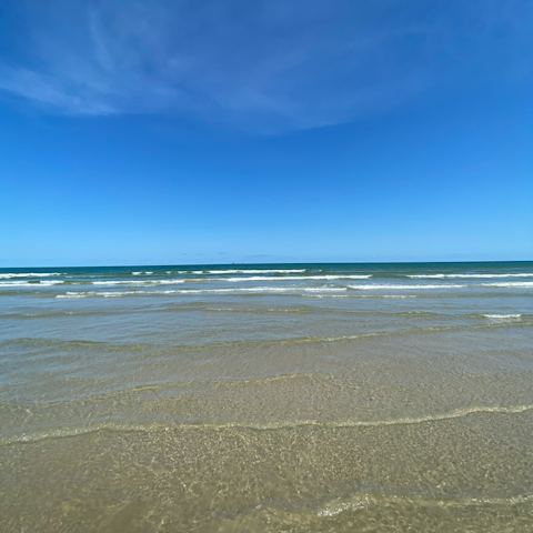 Drive along the picturesque coast to Port Aransas Beach