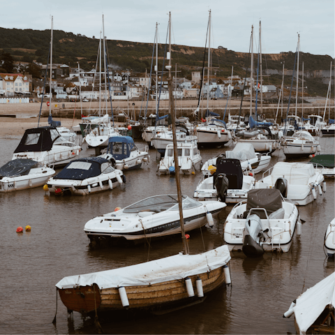 Drive eighteen minutes to Lyme Regis for fish and chips by the sea