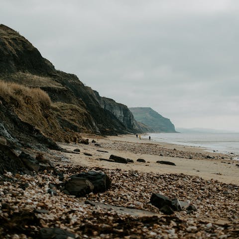 Hunt for fossils on Charmouth Beach – it's ten minutes away by car