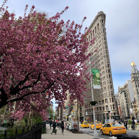 Stay a short walk from Madison Square Park and the iconic Flatiron Building