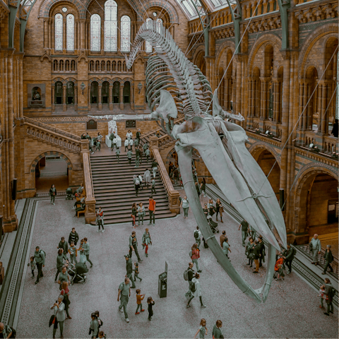 Walk three minutes to the Tube and travel to the museums of South Kensington
