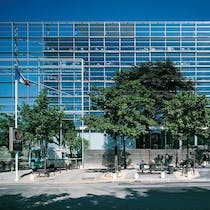 Take in an exhibition at la Fondation Cartier 