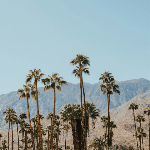 Embrace the magic of desert living from Palm Springs