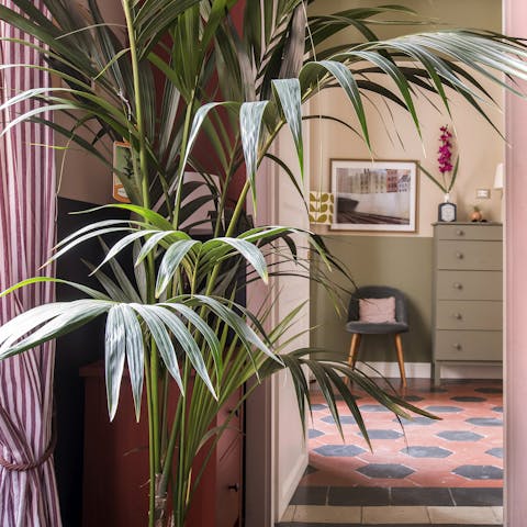 Wonderful houseplants